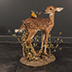 Deer Taxidermy