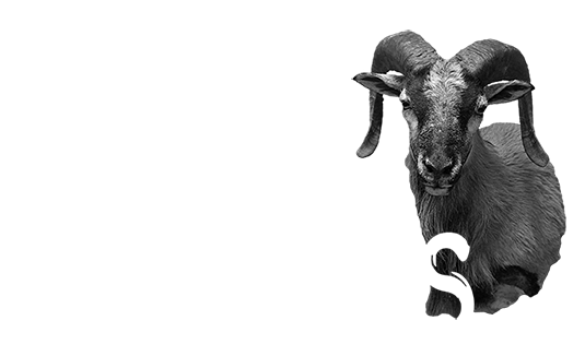 Game heads