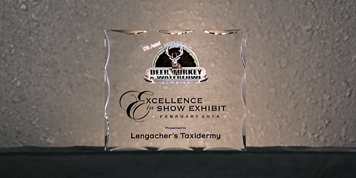 Excellence in Show Exhibit